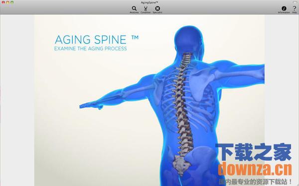 Aging Spine脊柱老化